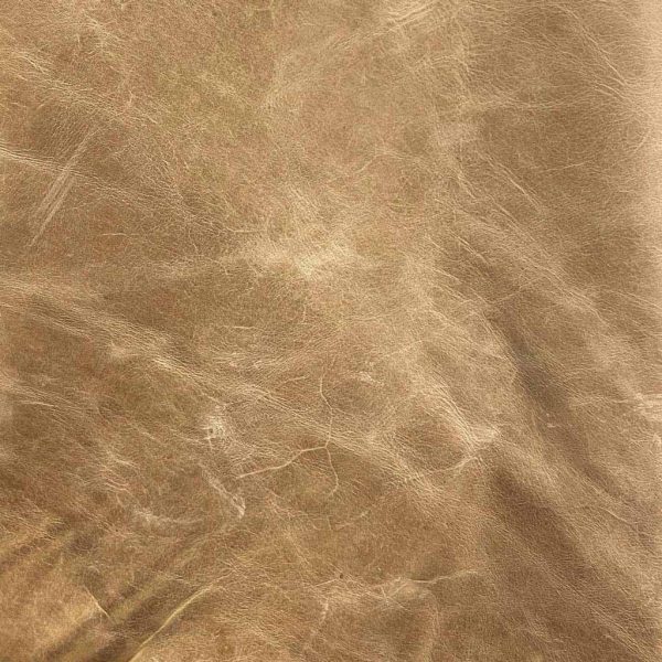 1903™ | large - Image 61